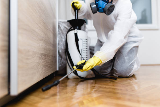 Best Bed Bug Extermination  in Clinton, OK