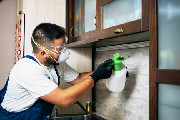 Best Best Pest Control Companies  in Clinton, OK