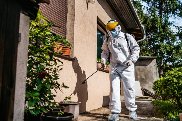 Best Wasp Removal Services  in Clinton, OK