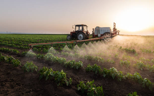 Best Pest Prevention Services  in Clinton, OK