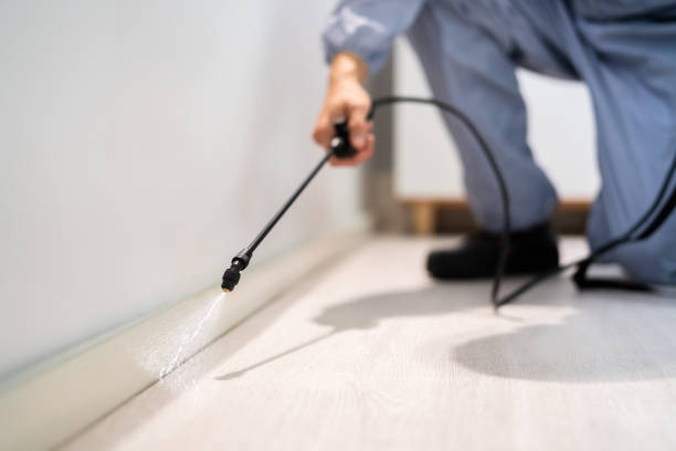 Best Affordable Pest Control Services  in Clinton, OK