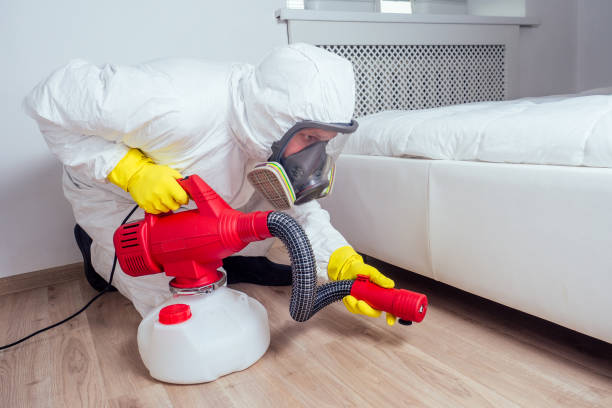 Best Mosquito Control Services  in Clinton, OK