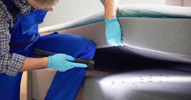Best Local Pest Control Services  in Clinton, OK