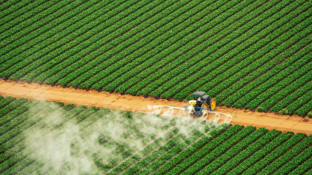 Best Ant Control Services  in Clinton, OK