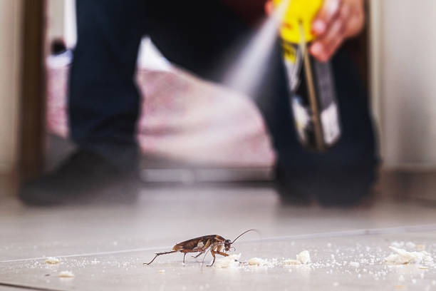 Best Best Pest Control Companies  in Clinton, OK