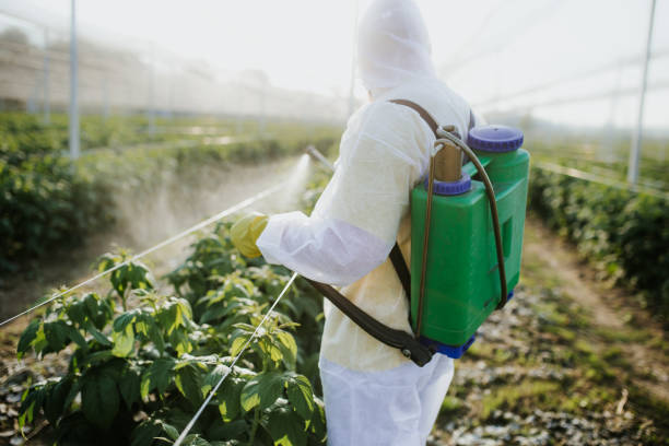 Best Exterminator Services  in Clinton, OK